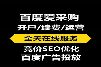 百度竞价优化技巧：实战案例深度剖析
